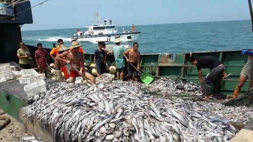 中国吃瓜渔船图片,渔获满满展现海洋丰收景象