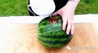 emo酒吧吃瓜,揭秘网红吃瓜现场,娱乐八卦一网打尽