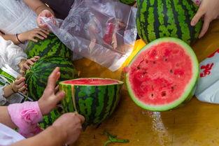 自己在家吃瓜视频,揭秘网络热点的幕后故事