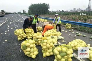 吃瓜事故,一场意外的教训