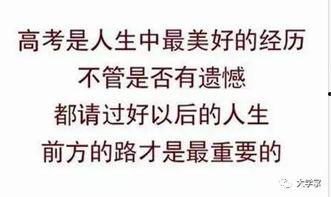 吃瓜追自己知乎,揭秘知乎上的自我追逐之旅