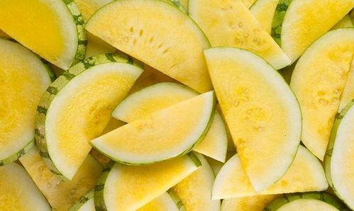 吃瓜吃到绿皮,从绿皮瓜到绿皮瓜皮,一网打尽瓜界奇闻异事