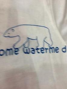 小熊吃瓜符号,趣味横生的夏日时光