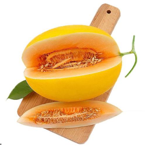 和老妈吃蜜瓜视频