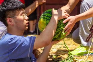 大学劲爆吃瓜,劲爆吃瓜事件大揭秘