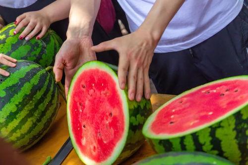 大学劲爆吃瓜,劲爆吃瓜事件大揭秘