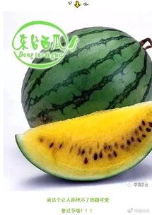 周集吃瓜,揭秘娱乐圈背后的那些事儿