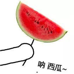 山东济宁吃瓜地图