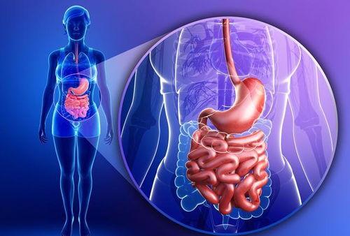 立夏吃瓜绘本,跟随绘本探索夏日美食之旅