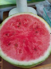 新桥医院吃瓜,揭秘背后的真相与反思