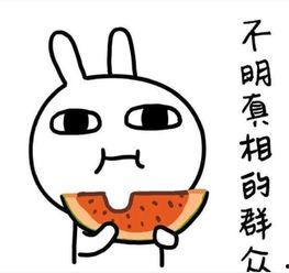 带你吃瓜骗术揭秘,网络骗术背后的真相与防范策略