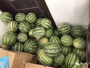 物酱的小屋吃瓜群,一场趣味横生的网络社交盛宴