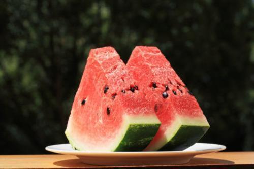 大东家吃瓜景天,大东家与吃瓜景天的趣味日常