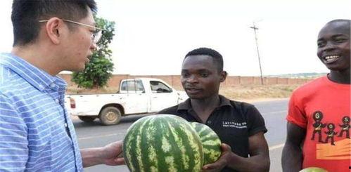 吃瓜被老头暴打,一场意外的冲突引发社会热议