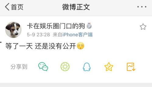 58爆料吃瓜,揭秘娱乐圈最新吃瓜事件，真相令人震惊！