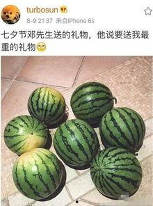 吃瓜高情商,洞察真相，优雅围观