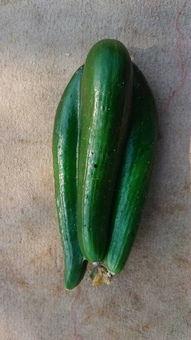 瓜还可以这么吃吗